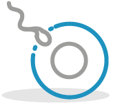 Illustrated icon of a single sperm and an egg