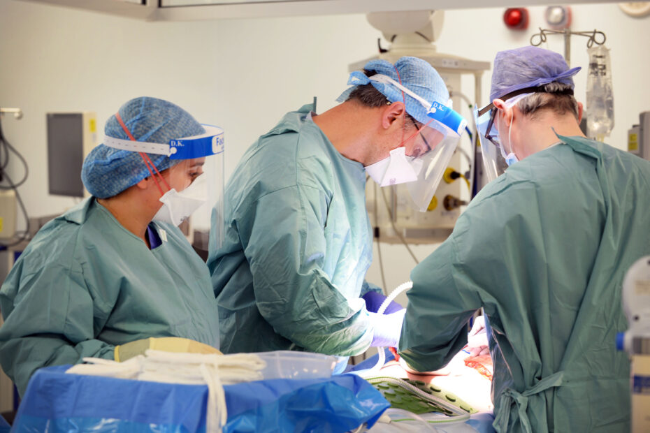 Members of staff in surgical gowns carrying out a surgical procedure.