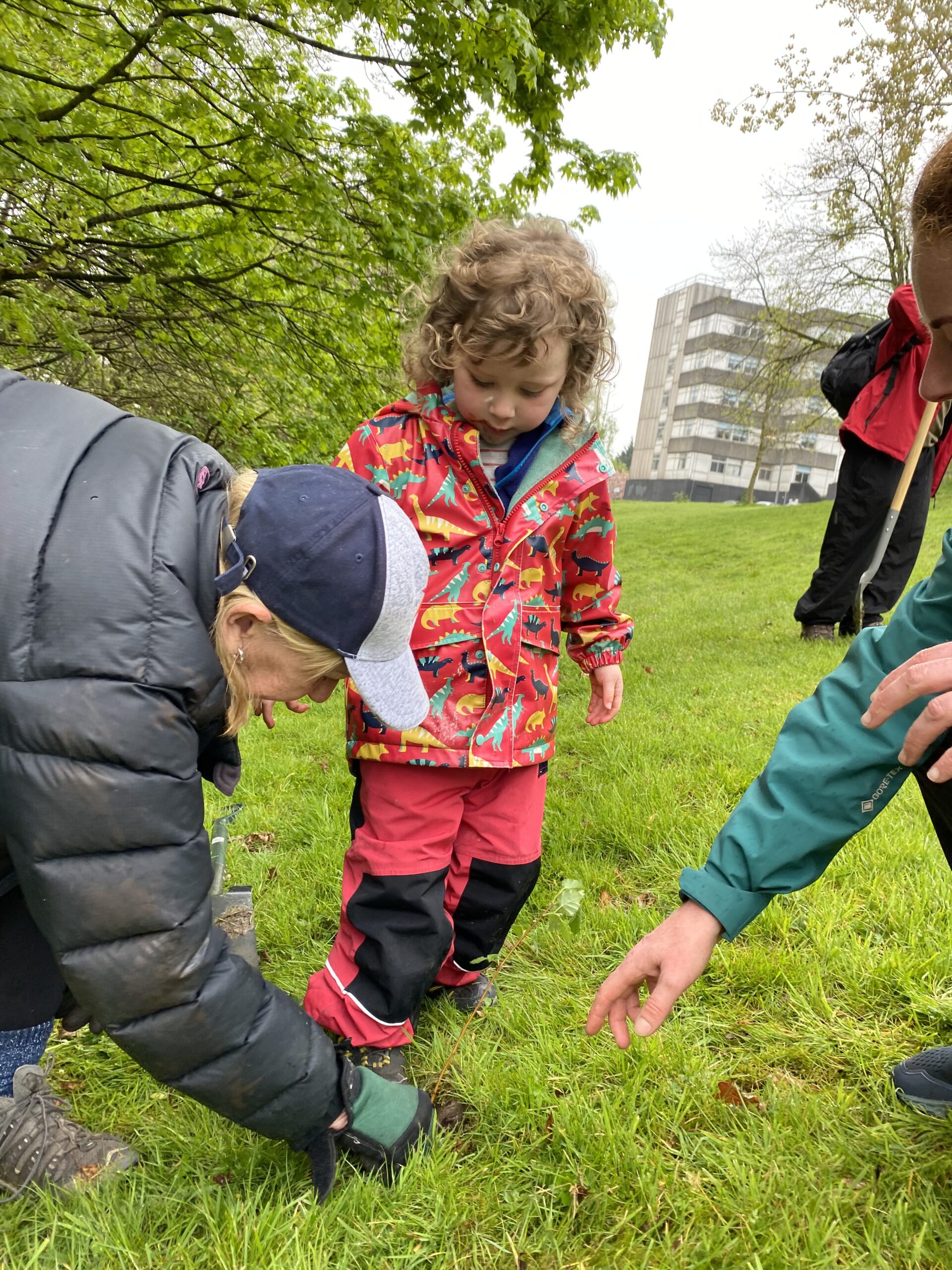 Little Annabel plants her own tree