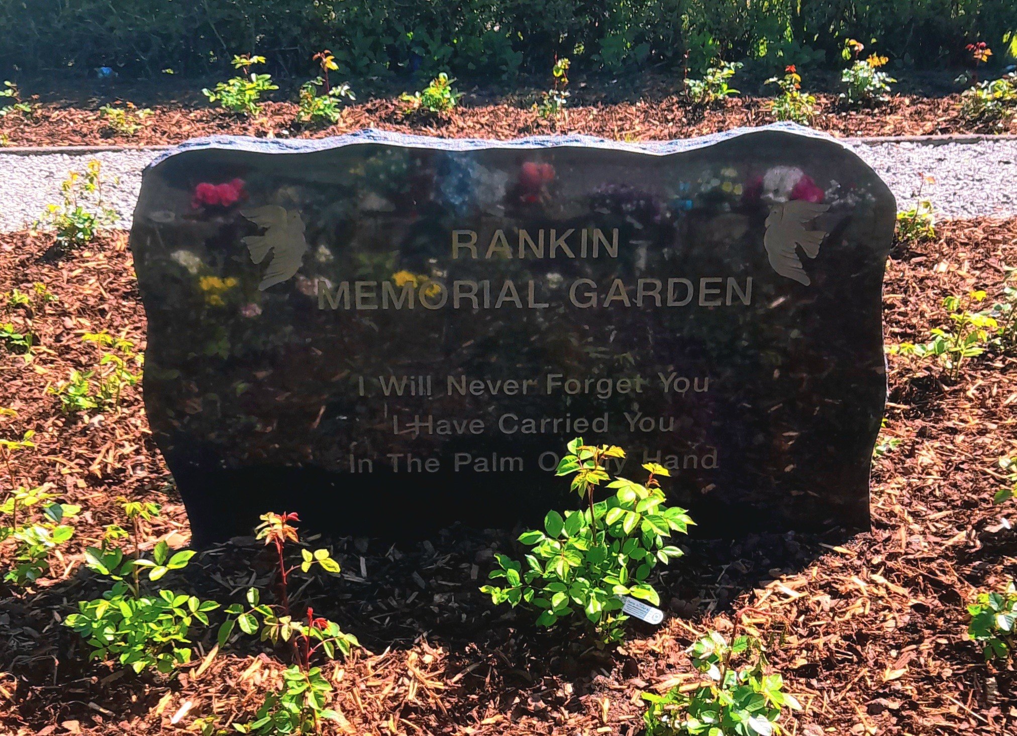 IRH midwives and chaplain to take part in baby loss memorial service 