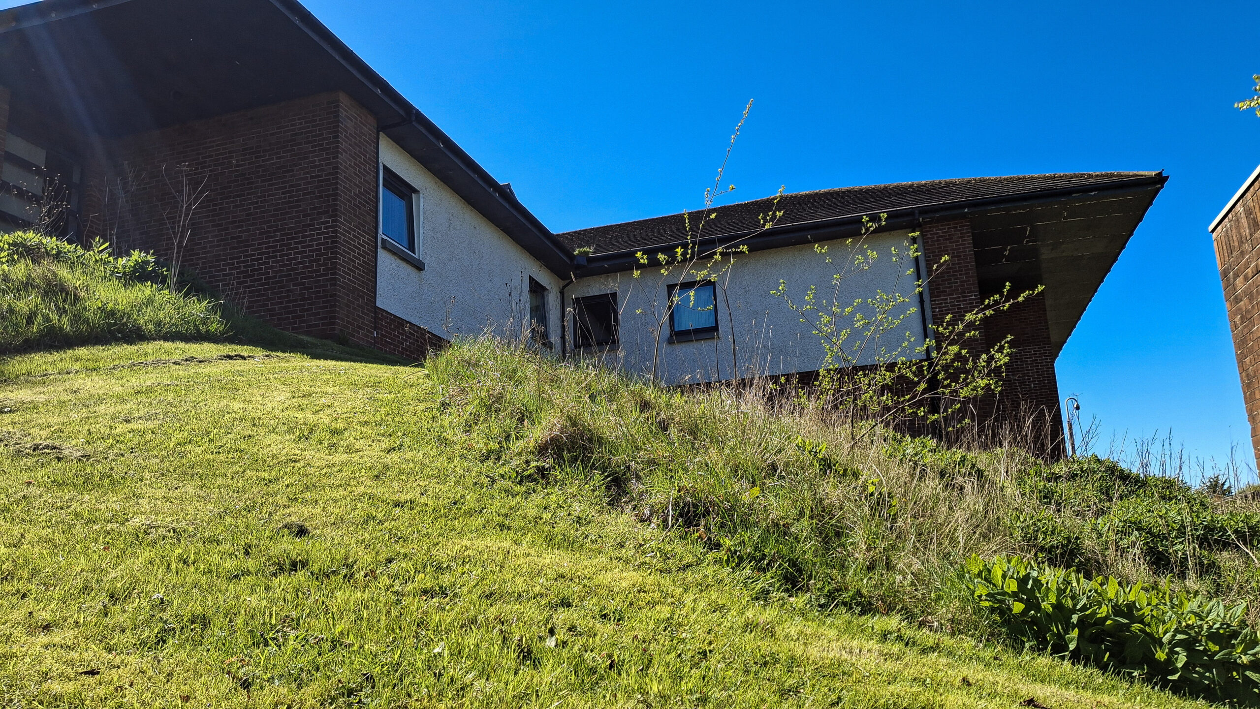 An area of uncut grass and shrub beside a mowed area, with a ward building at New Stobhill in the background.