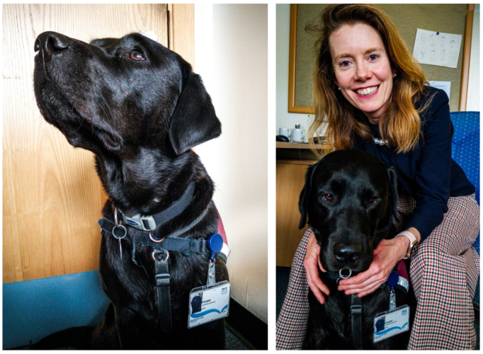 Composite picture which Cooper the dog on the left, wearing his NHSGGC badge and, on the right, with his owner, Consultant Neurologist Dr Helen Grote