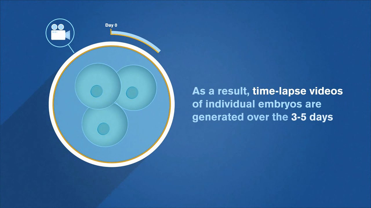 youtube placeholder image
