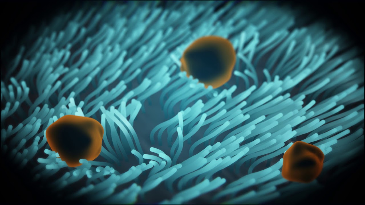 youtube placeholder image